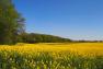 images/landschaft/W5070025.jpg