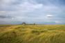 images/landschaft/hamburger-hallig_1.jpg