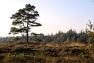 images/langenhorn-heide/fb-langenhorner-heide-1.jpg